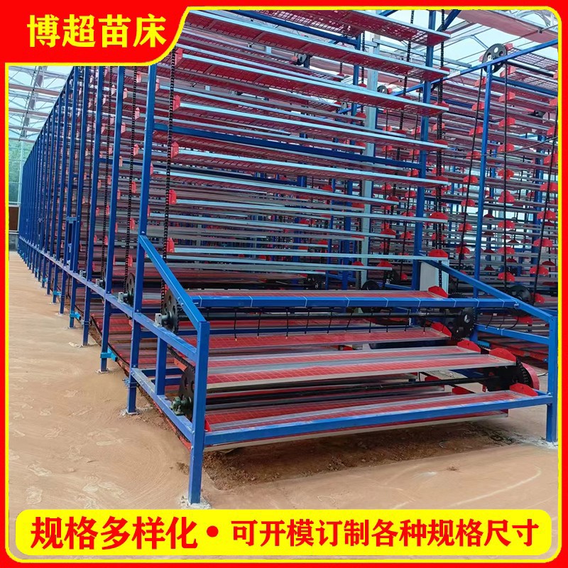 wD(zhun)紲
